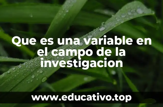 Que es una variable en el campo de la investigacion