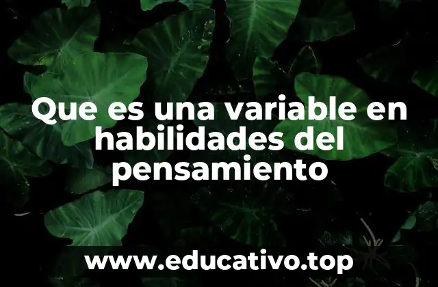 Que es una variable en habilidades del pensamiento