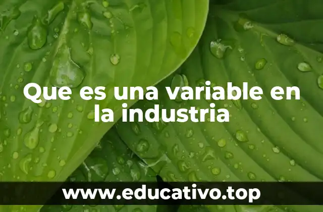 Que es una variable en la industria