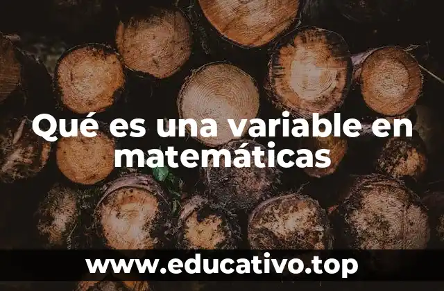 Qué es una variable en matemáticas