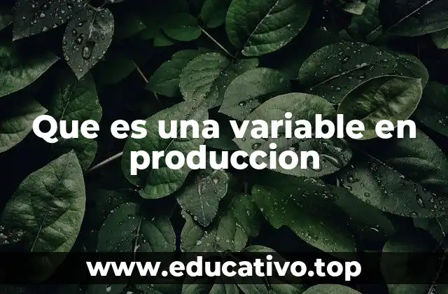 Que es una variable en produccion