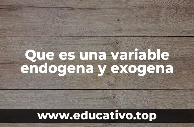 Que es una variable endogena y exogena