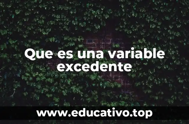 Que es una variable excedente