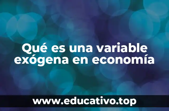 Qué es una variable exógena en economía