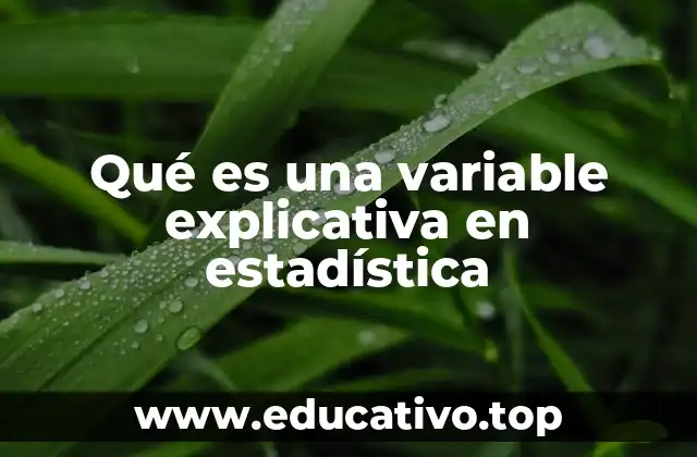 Qué es una variable explicativa en estadística