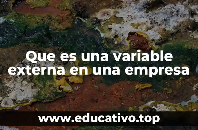 Que es una variable externa en una empresa