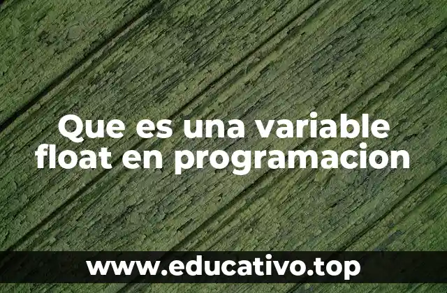 Que es una variable float en programacion