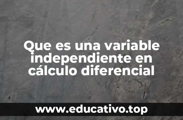 Que es una variable independiente en cálculo diferencial