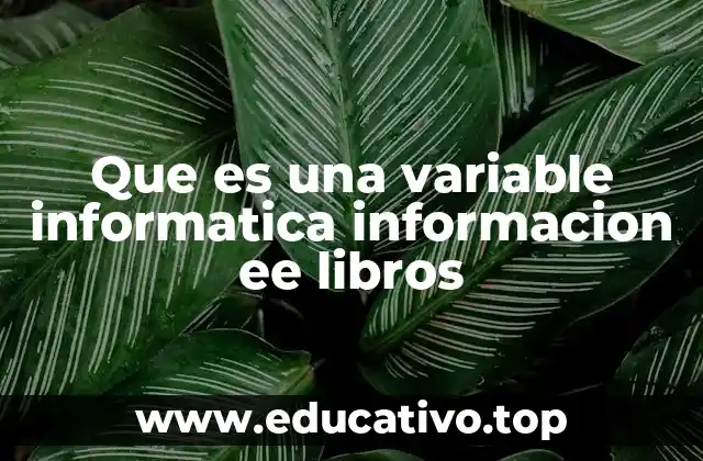 Que es una variable informatica informacion ee libros
