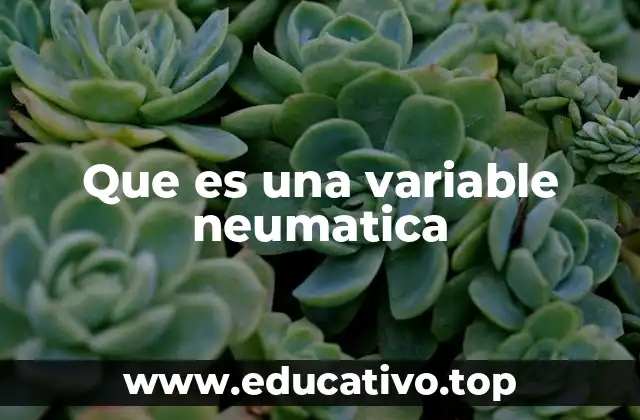 Que es una variable neumatica