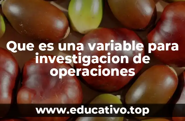 Que es una variable para investigacion de operaciones