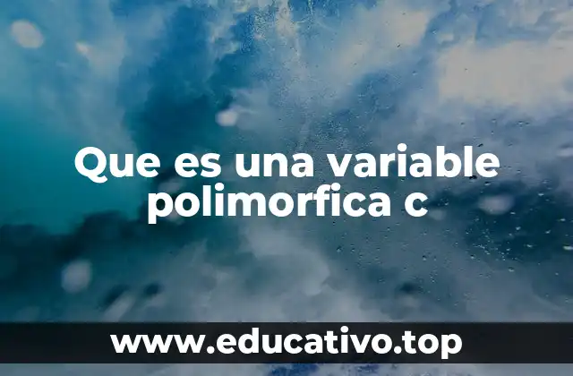 Que es una variable polimorfica c