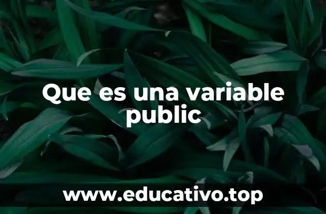 Que es una variable public
