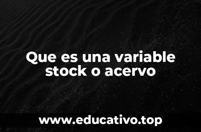 Que es una variable stock o acervo