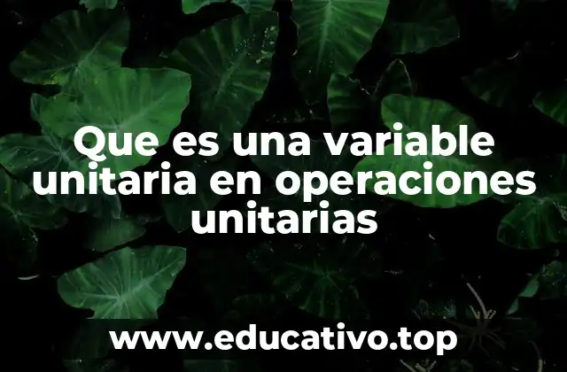 Que es una variable unitaria en operaciones unitarias