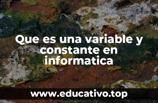 Que es una variable y constante en informatica