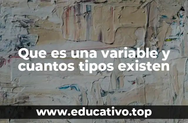 Que es una variable y cuantos tipos existen