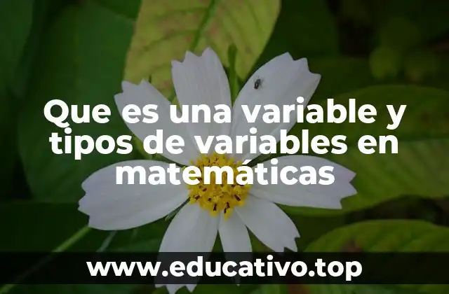 Que es una variable y tipos de variables en matemáticas