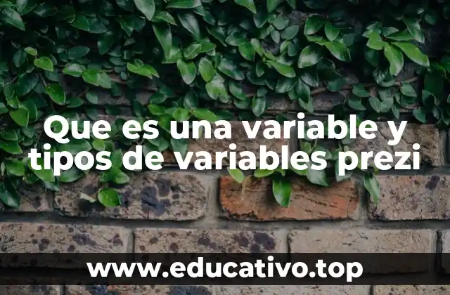 Que es una variable y tipos de variables prezi