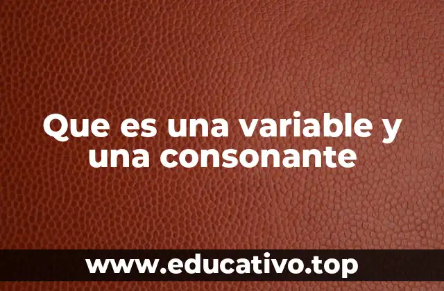 Que es una variable y una consonante