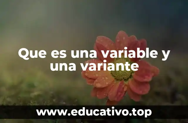 Que es una variable y una variante