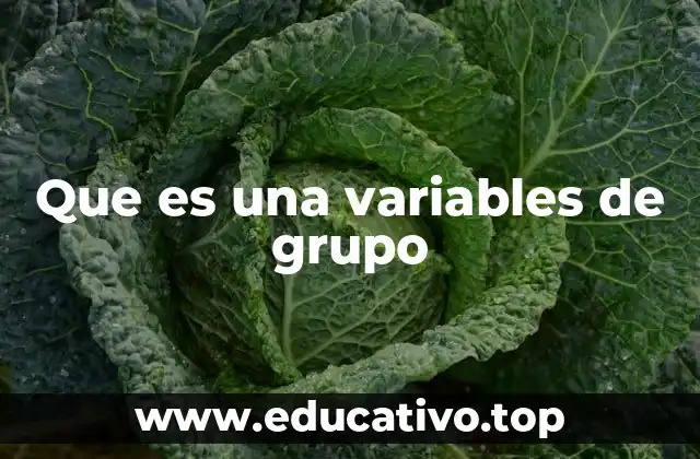 Que es una variables de grupo