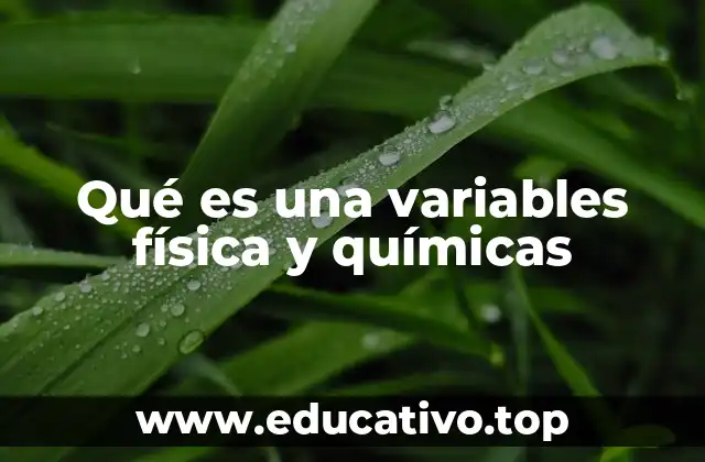 Qué es una variables física y químicas