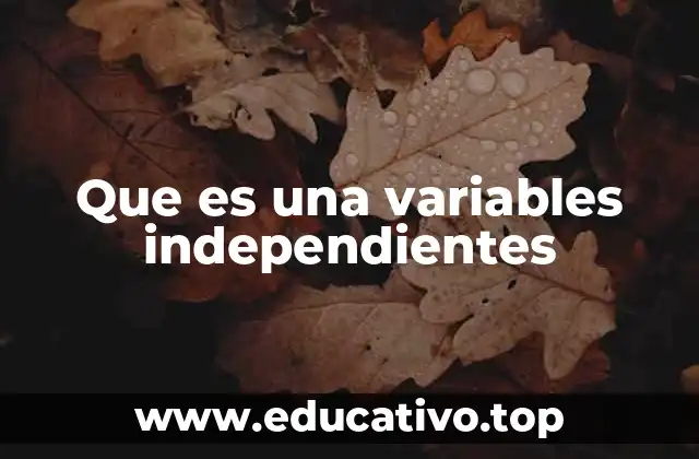 Que es una variables independientes