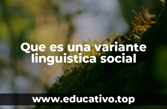 Que es una variante linguistica social