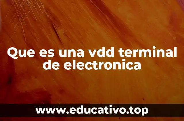 Que es una vdd terminal de electronica