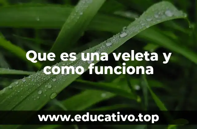 El uso de la veleta en la navegación y la meteorología