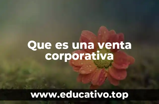Que es una venta corporativa