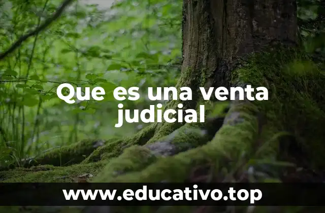 Que es una venta judicial