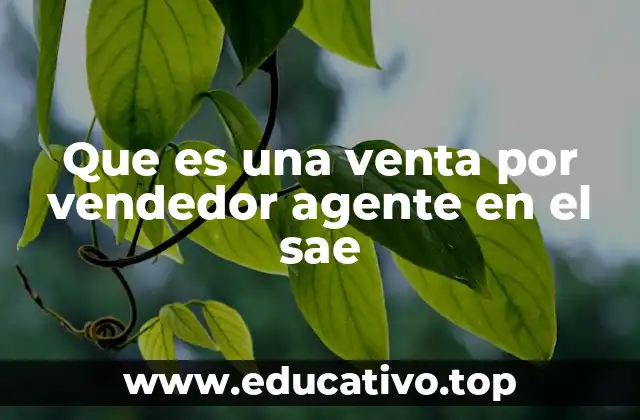 Que es una venta por vendedor agente en el sae