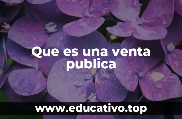 Que es una venta publica