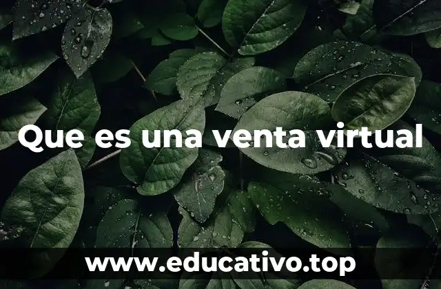 Que es una venta virtual