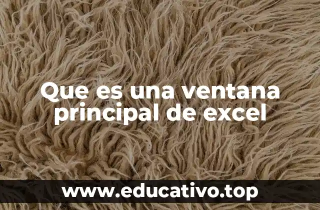 Que es una ventana principal de excel