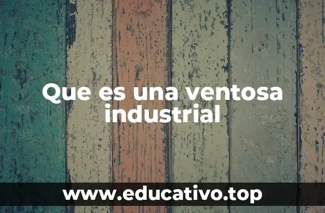 Que es una ventosa industrial