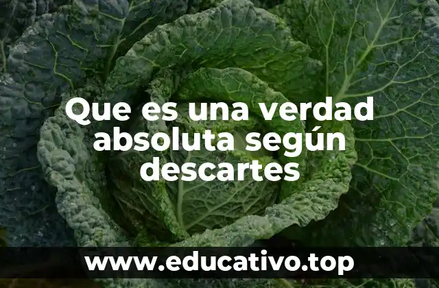 Que es una verdad absoluta según descartes