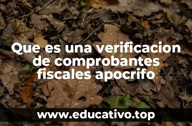 Que es una verificacion de comprobantes fiscales apocrifo