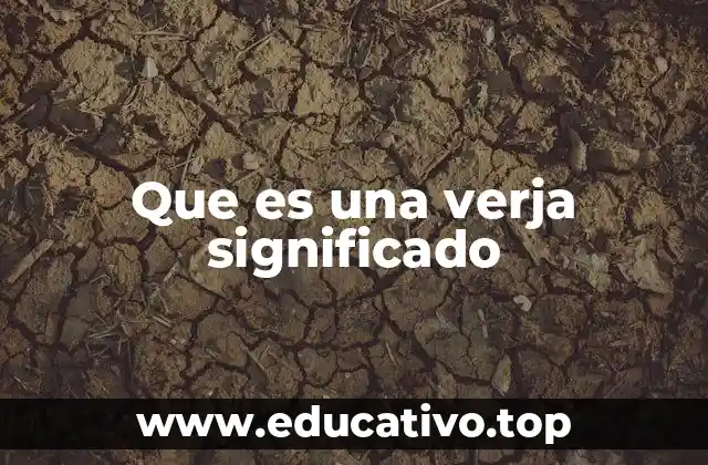 Que es una verja significado