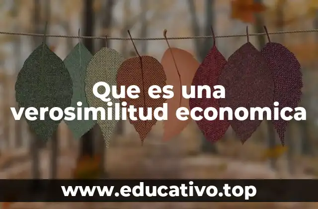 Que es una verosimilitud economica