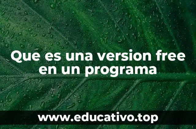 Que es una version free en un programa