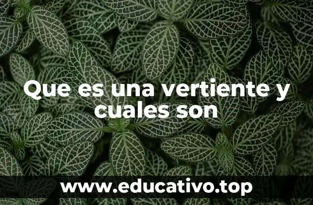 Que es una vertiente y cuales son