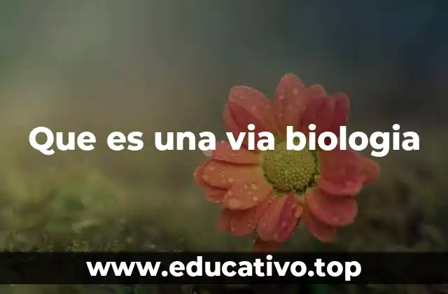 Que es una via biologia