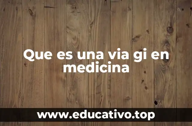 Que es una via gi en medicina