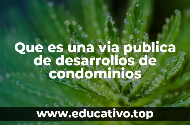 Que es una via publica de desarrollos de condominios