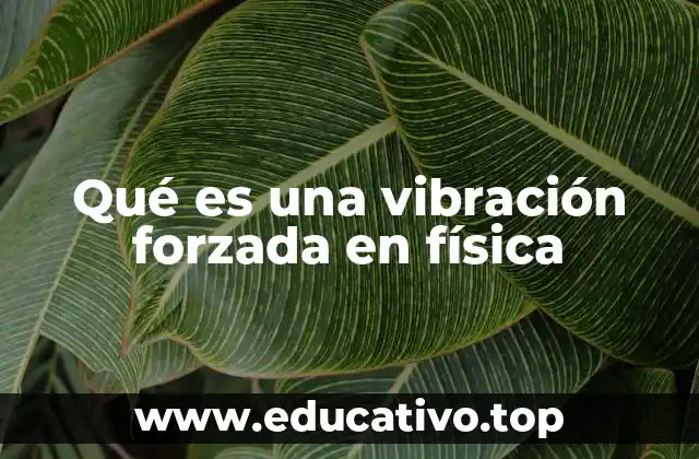 Qué es una vibración forzada en física