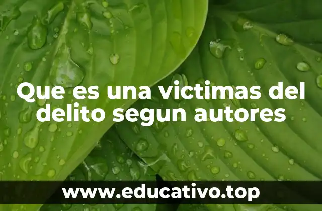 Que es una victimas del delito segun autores