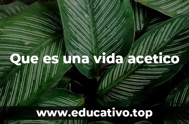 Que es una vida acetico